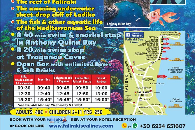 3 Hour Yellow Semi Submarine Swimming Cruise with Drinks Included! - Drinks on board: beer and soft drinks included