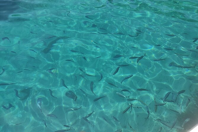 4-Hour Private Boat Tour in Corfu - Things to consider before you book