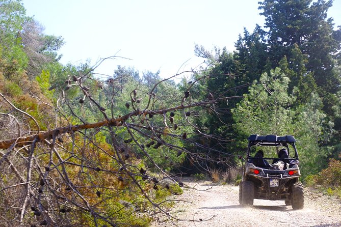 4x4 Buggy Adventures - Off-road Polaris Experience - Where You Meet: The Remote 94G8+5J Start
