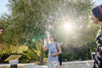 Premium Acropolis and Parthenon Guided Tour