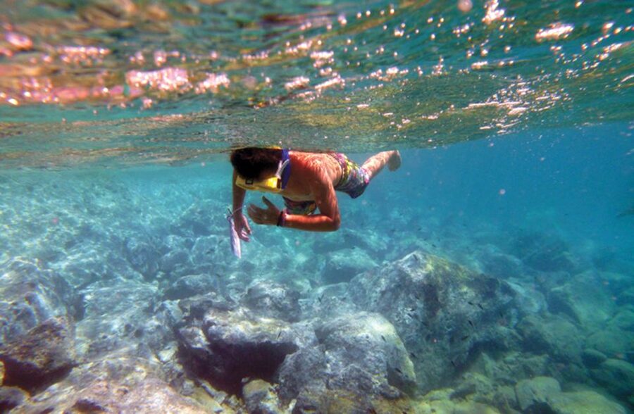 Agia Galini: South Crete Sailing Trip with Optional Lunch - The anchor-and-swim cove: protected wildlife and a slower kind of sea time
