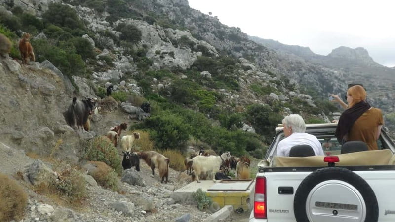 Agios Nikolaos: Thripti Mountain Villages Jeep Tour w/Lunch - Open-Top Jeep Reality Check in Thripti Mountains