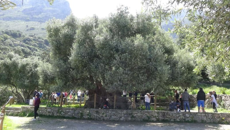 Agios Nikolaos: Thripti Mountain Villages Jeep Tour w/Lunch - Traditional Village Stops: Sfaka, Tourloti, Lastros Areas