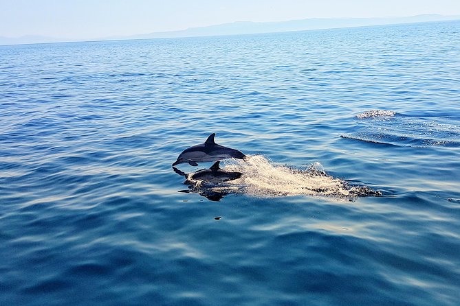 All-Inclusive Full-Day Cruise & Lunch - Dasia Sea Caves: When the Coast Looks Like Sculpture