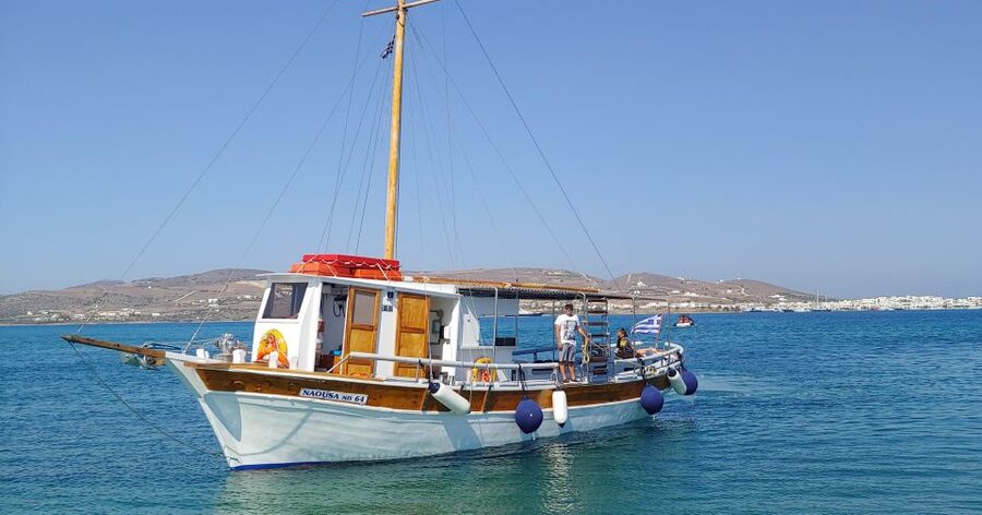 Antiparos & Despotiko Kaiki Cruise — Coves, Swim & BBQ - A balanced look at the main downside