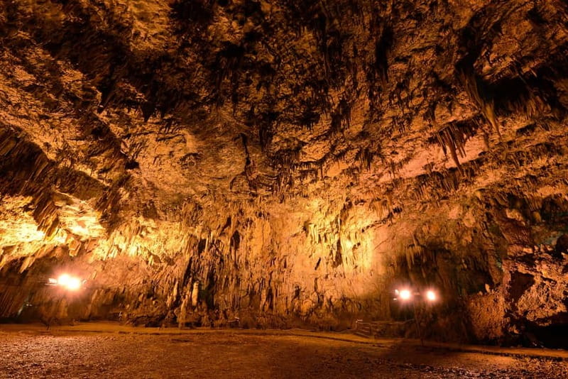 Argostoli: Shore Excursion to Caves with Local Wine Tasting - Key highlights that make this excursion worth it
