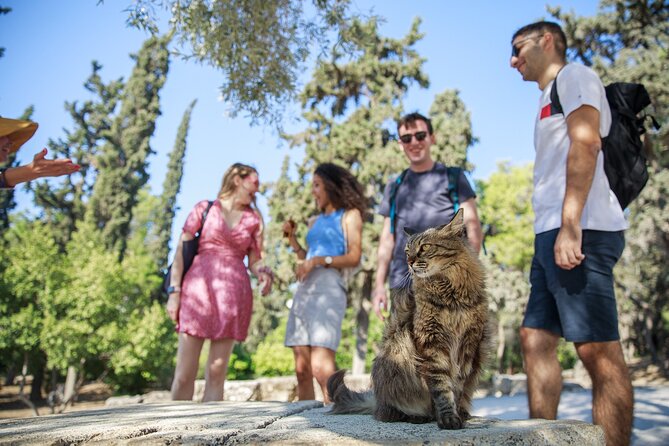 Athens Acropolis and Parthenon Walking Tour - Theatre of Dionysus: where drama starts, not just where plays happen