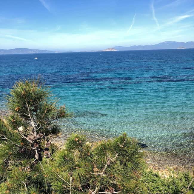 Athens: Aegina Island Small Group Premium Guided Tour - Aegina Town Break: Stroll, Shop, and Eat Like an Island Person