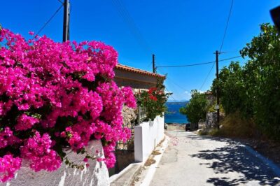 Agistri, Metopi & Aegina Cruise with Meals & Drinks