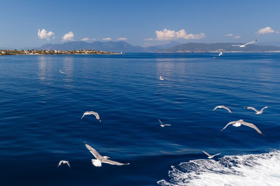 Athens: Guided Day Trip to Aegina Island with Swimming - Aegina Town at the End: Neoclassical Streets and Free Wandering