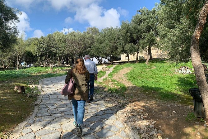 Athens: Guided Tour of Acropolis and Parthenon Tickets Included - Tour pace, group size, and the fitness reality check
