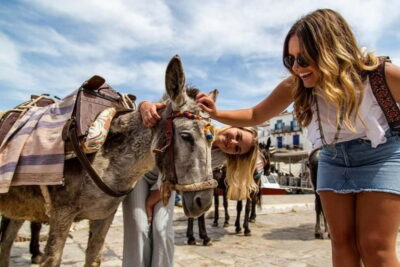 Hydra, Poros & Aegina Day Cruise with Lunch