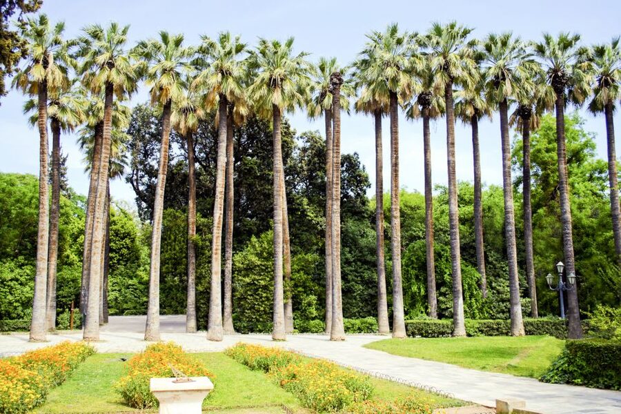 Athens Instagram Tour: The Most Scenic Spots - Hellenic Parliament to Presidential Palace: the quick-contrast photo duo