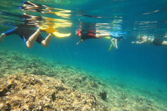 Athens, Nea Makri: Guided Small Group Snorkeling Boat Excursion - Marathon Cape snorkeling, where clear water does the work
