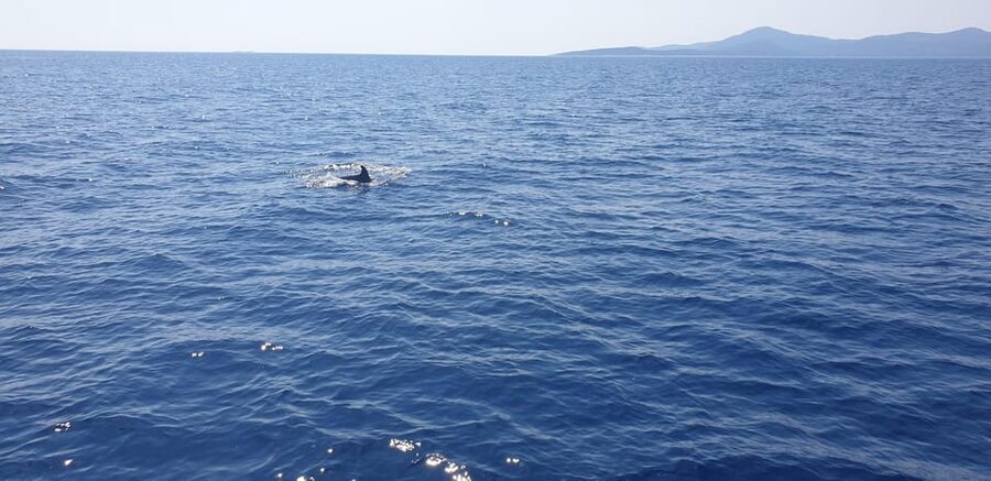 Athens: Riviera Catamaran Tour with Fresh Meal and Drinks - Comfort and cleanliness you actually notice during a sea day