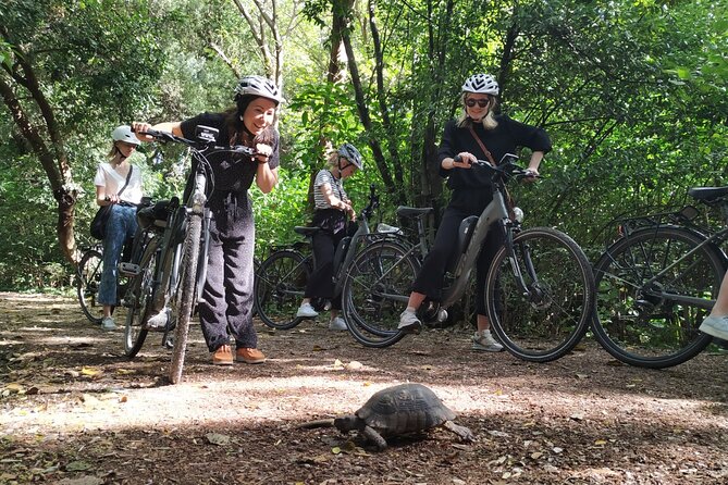 Athens Small Group E-Bike Tour - Who this tour suits best (and who should skip it)