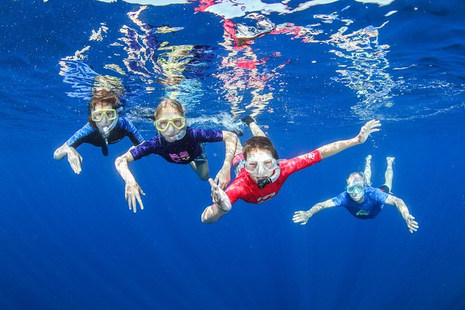 Boat Trip in Crete with Guided Snorkeling and Free Pick up! - Key things I’d zero in on