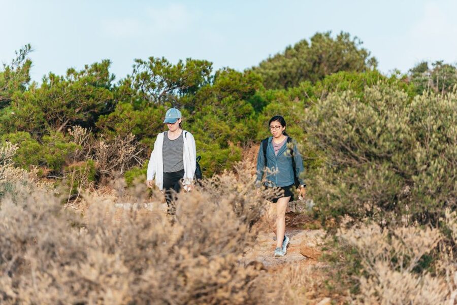Cape Sounion & Temple of Poseidon: Small Group Tour - Who This Tour Suits Best (And When It Might Not)