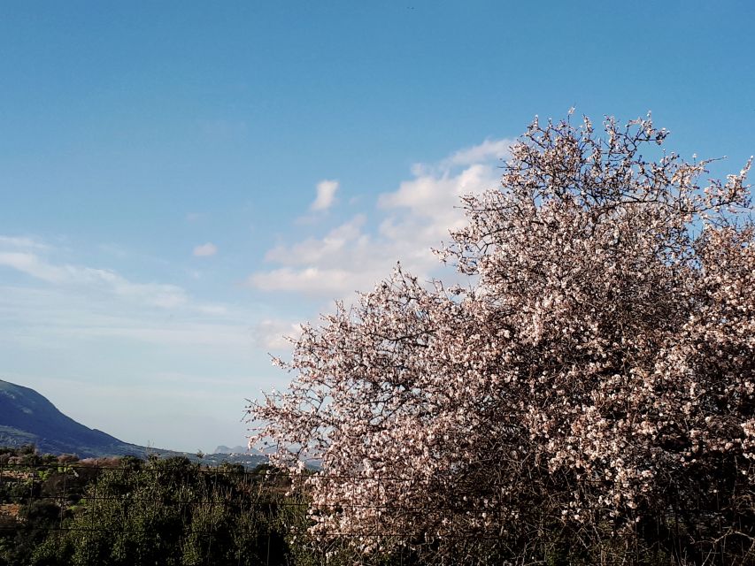 Chania: 7 Villages of Apokoronas Tour with Lunch - Vrises and the Mikis Theodorakis Theatre stop