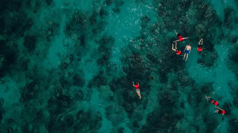 Chania: Boat Trip with Guided Snorkeling Tour - Gear Fitting and Safety Coaching: Why Beginners Feel Calm