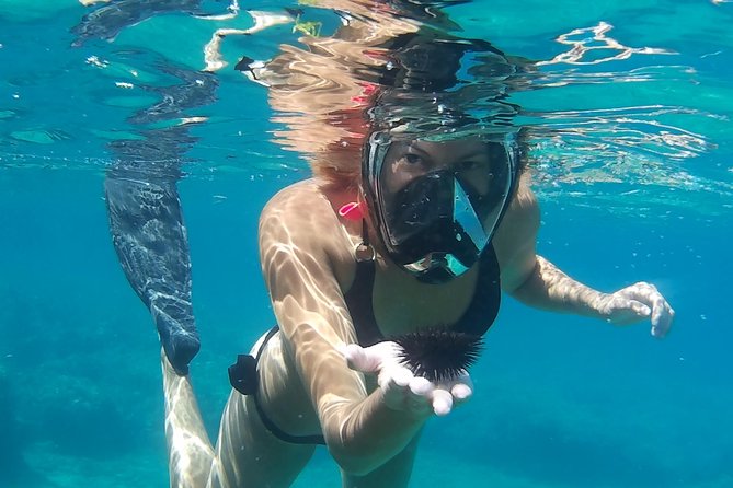 Chania: Boat Trip with Guided Snorkeling Tour & SUP - The SUP add-on: when it’s great, and when it disappears