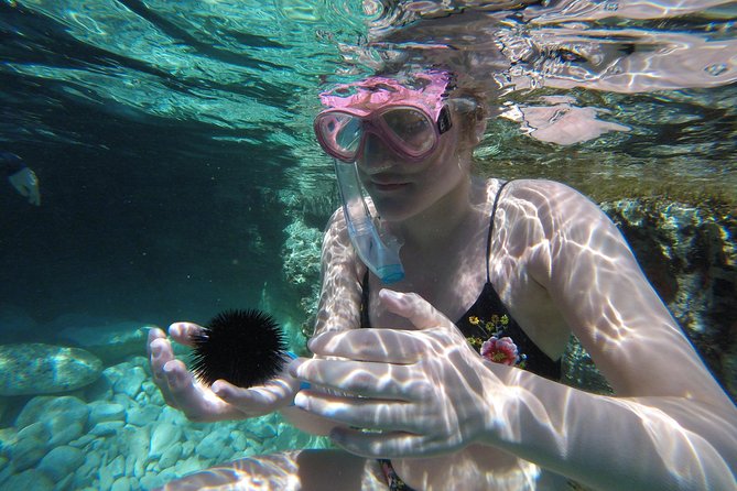 Chania: Boat Trip with Guided Snorkeling Tour & SUP - Small-group attention: why max 8 can feel like a private trip