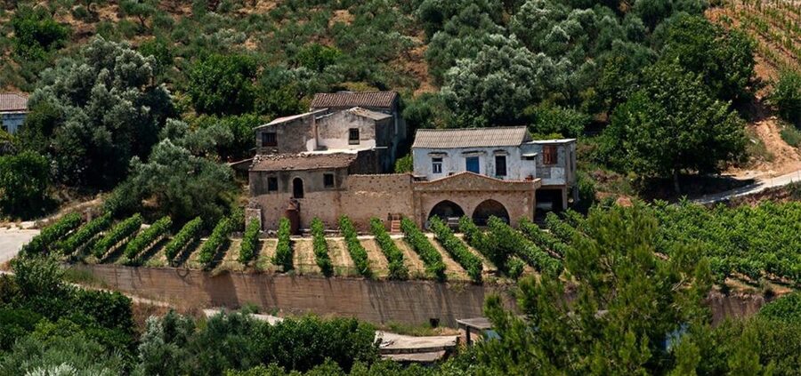 Chania: Milia Mountain Tour w/Lunch Olive Oil/Wine Tastings - The Best Fit: Who Should Book This Milia and Olive Oil Day Trip?