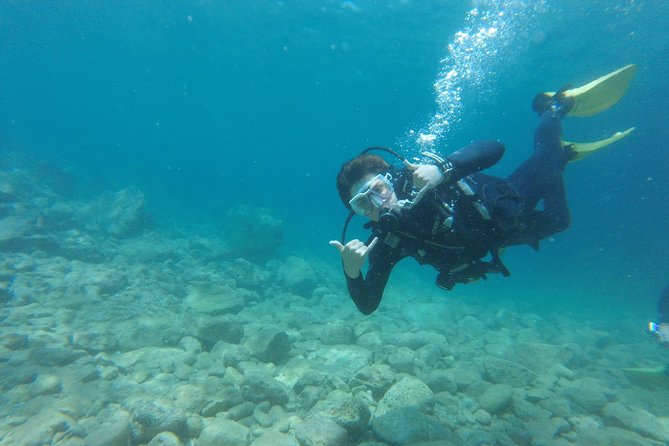 Chania: Scuba Diving for Beginners - Marine life and what you’re likely to see off Almyrida