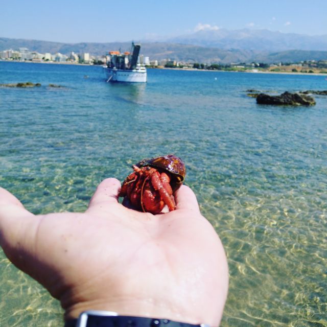 Chania Town: Glass-Bottom Boat Cruise to Thodorou & Lazareta - A 3.5-hour loop from Chania’s old port
