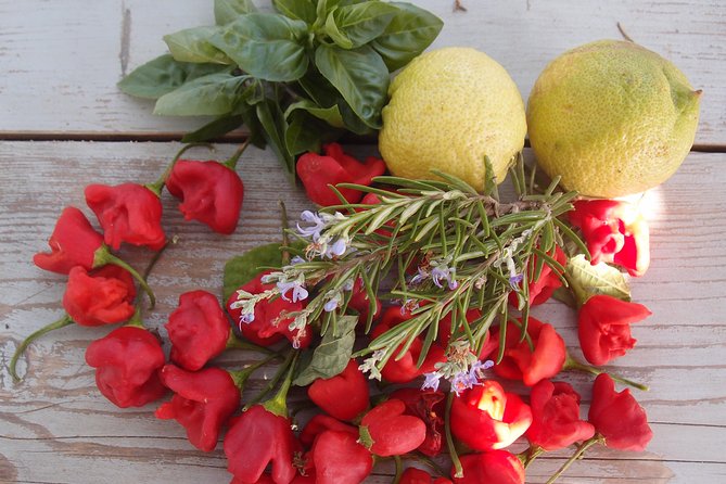 Cooking class, traditional Greek cuisine, on a Greek island - Wine and cheese for 45€: an add-on that actually supports the meal
