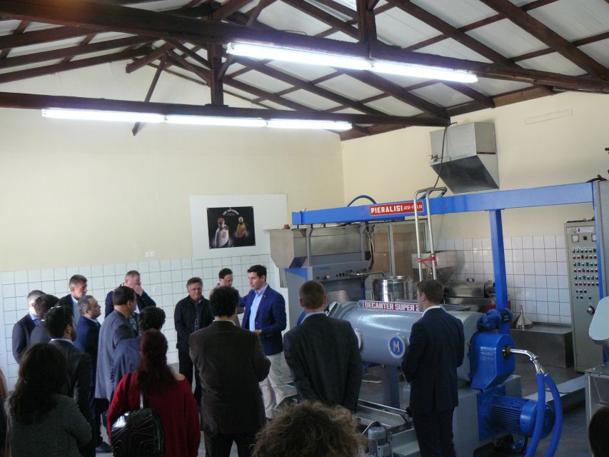 Corfu: Olive Oil Experience - The Governor's Olive Mill - Loutrouvio old mill and the Dafnis family methods