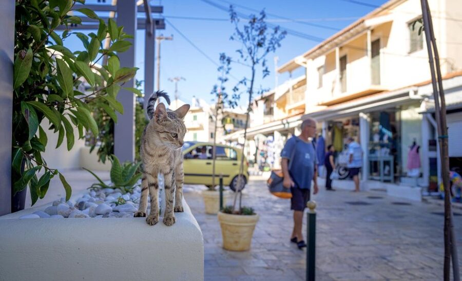 Corfu: Shore & Shared Tour – Kassiopi & Canal d’Amour - Who Should Book This Tour, and Who Might Want a Different Plan