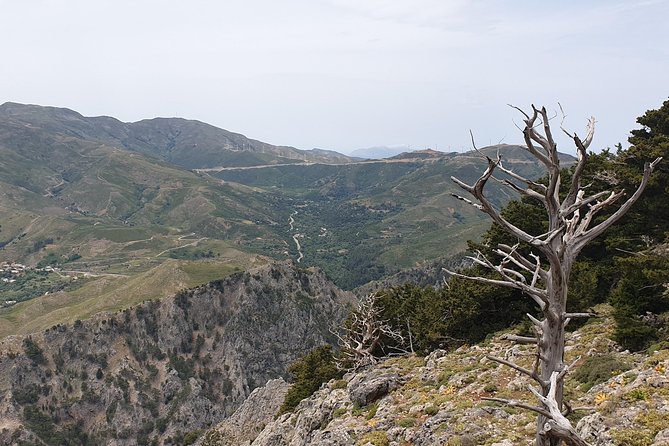 Cretan Safari – 4x4 Adventure to Preveli Beach with Lunch - A 4x4 Crete day that trades roads for real places