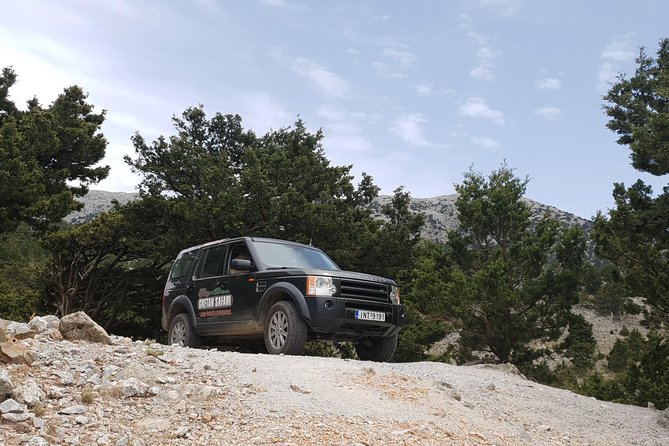 Cretan Safari – 4x4 Adventure to Preveli Beach with Lunch - Prasses Gorge: a short walk where wildlife steals the show