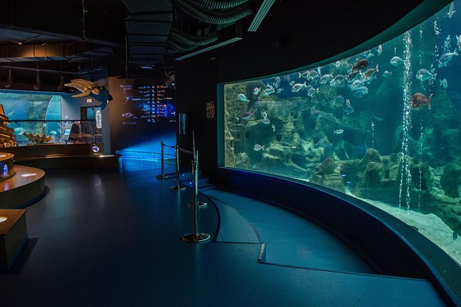 CRETAquarium Entrance Ticket in Crete - What makes the tanks feel special: scenery, care, and education
