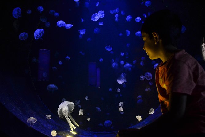 CRETAquarium Entrance Ticket in Crete - Optional audio guide: is it worth the extra 3 euros?