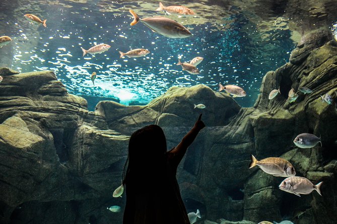 CRETAquarium Entrance Ticket in Crete - The big highlight: 60 tanks built around Mediterranean ecosystems