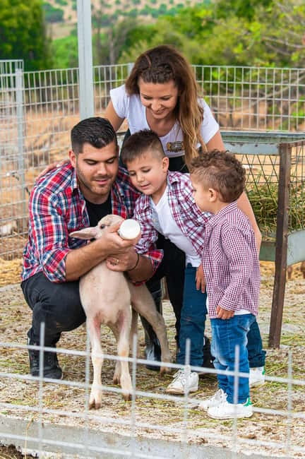 Crete: Farm Visit with Cheese Tasting and Milking Experience - Milking goats and sheep: real hands-on practice