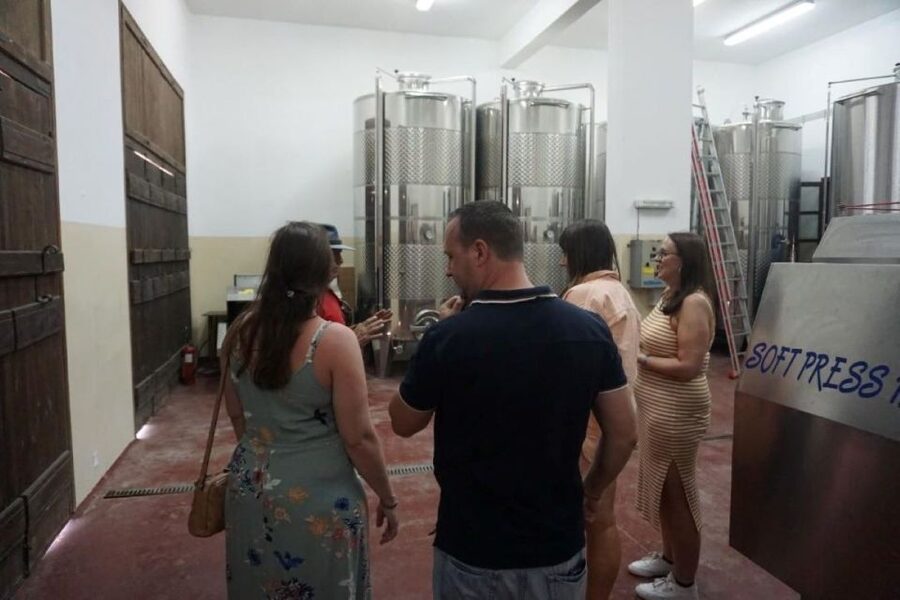 Crete: Full-Day Cretan Wines, Olive Oil, Raki and Food Tour - Winery stop: vineyard walk, organic methods, and a 5-wine tasting