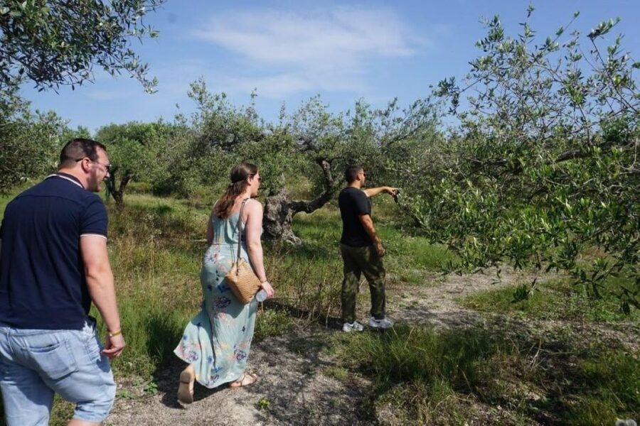 Crete: Full-Day Cretan Wines, Olive Oil, Raki and Food Tour - Raki distillery and an ancient wine press, plus rakokazano tasting