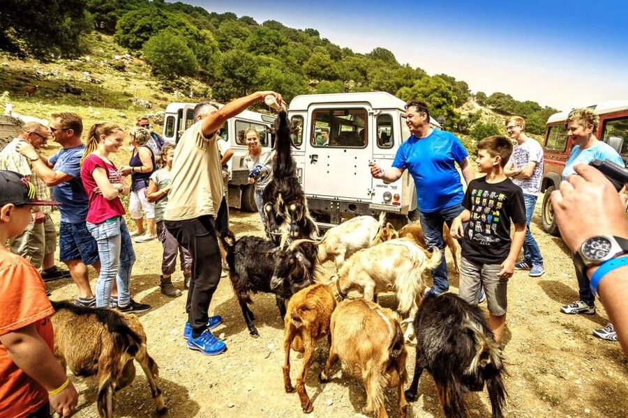 Crete: Land Rover Safari on Minoan Route - Quick hits on the Minoan Route safari