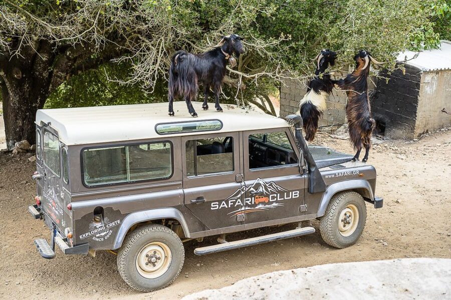Crete: Land Rover Safari on Minoan Route - What this Crete Land Rover safari is really like