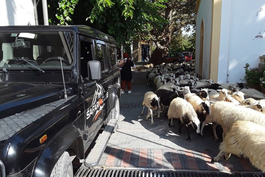 Crete: Land Rover Safari on Minoan Route - Lassithi Plateau bird’s-eye views, donkeys at work, and Seli photos