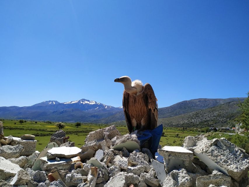 Crete: Lasithi Plateau and Cave of Zeus Off-Road Safari Tour - Diktaion Andron: the myth site before the cave visit