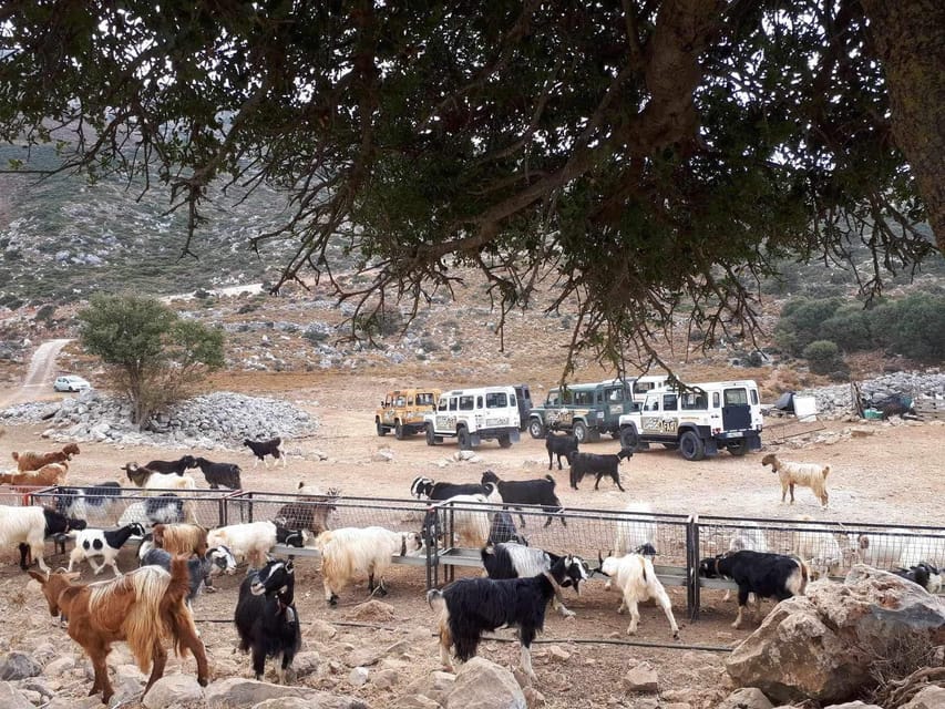 Crete: Lasithi Plateau Zeus Cave Guided Jeep Safari Tour - Price and value: what $100 buys in real terms