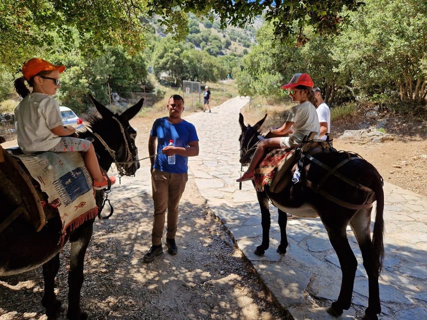 Crete: Lasithi Plateau Zeus Cave Guided Jeep Safari Tour - The olive mill and shepherd farm part: tastings that mean something