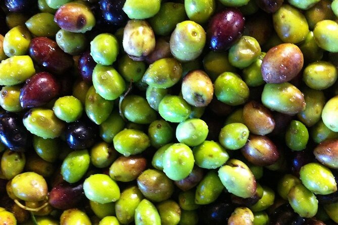 Crete: Olive Oil, Soap, Wine, Raki - Flavorful Culinary Journey - Wine tasting at a micro-winery: indigenous varieties and real conversation