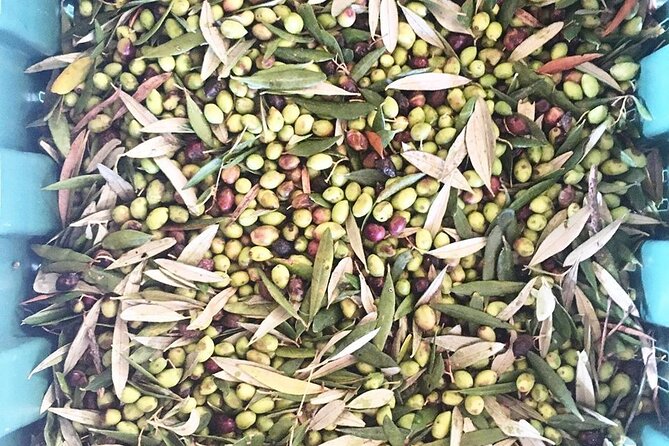 Crete: Olive Oil, Soap, Wine, Raki - Flavorful Culinary Journey - Small-group size, real drivers, and the Tony effect