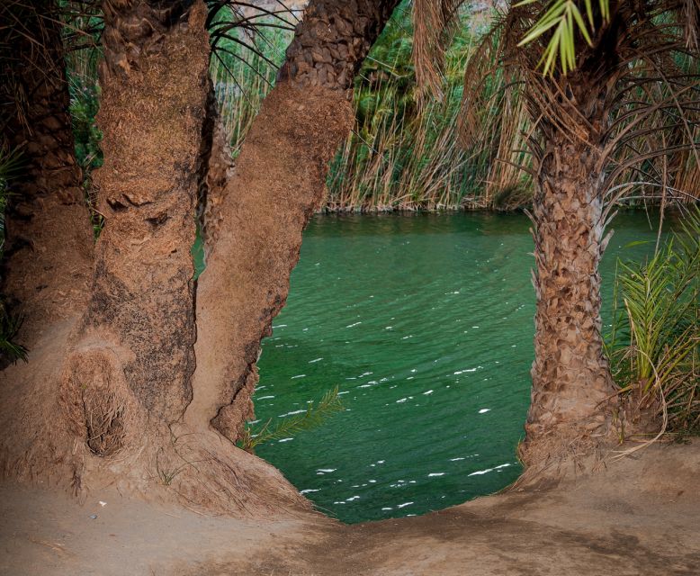 Crete: Preveli Tropical Beach and Palm Forest - Key points to know before you go