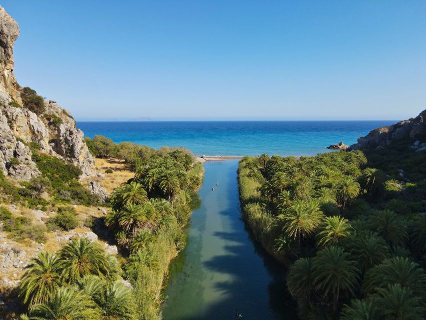 Crete: Preveli Tropical Beach and Palm Forest - Palm Forest walk: Theophrastus palms and tropical flowers